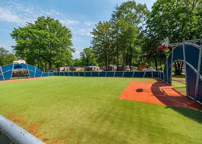 Luxury In With Parking Villa *